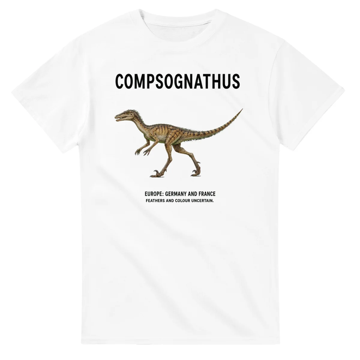 Compsognathus - Artist's Impression