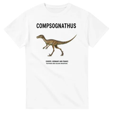 Compsognathus - Artist's Impression