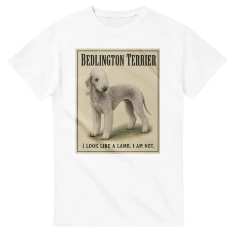 Bedlington Terrier - Well Bred