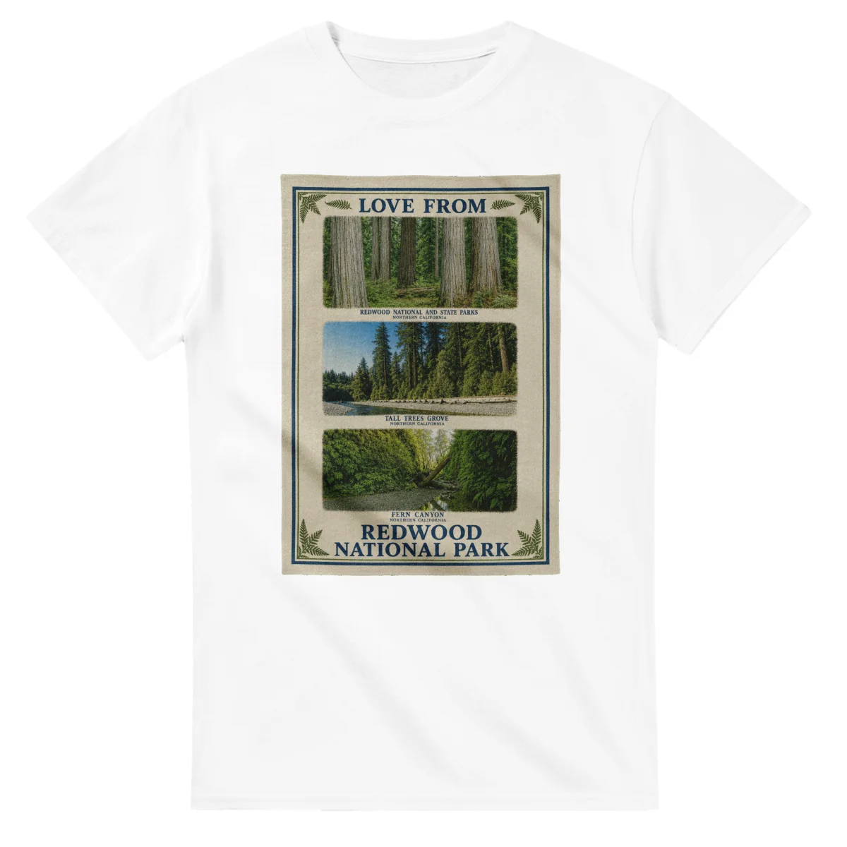 Framed scenic design for Redwood National Park, with several local views, a decorative border and LOVE FROM lettering.