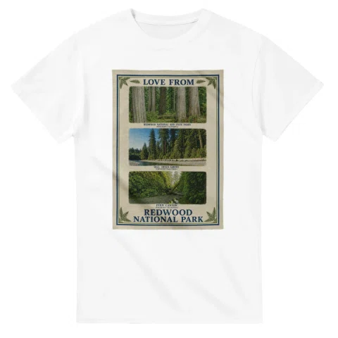 Framed scenic design for Redwood National Park, with several local views, a decorative border and LOVE FROM lettering.