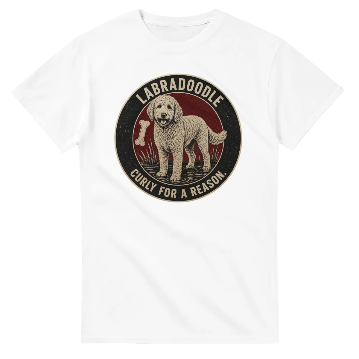 Labradoodle - Curly for a Reason