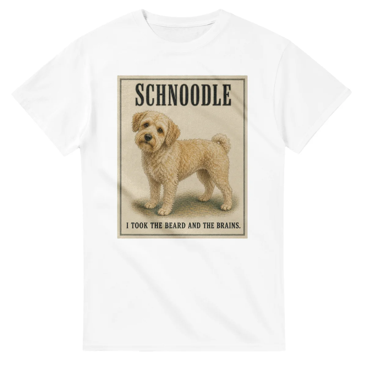 Schnoodle - Well Bred