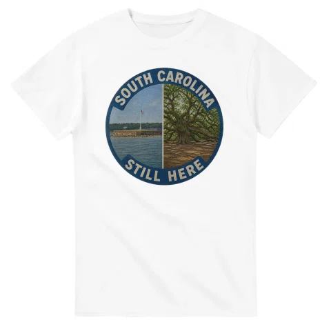 Painted, panelled scenic illustration for South Carolina, with paired local scenes and the place name in lettering.