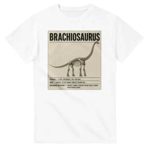 Brachiosaurus - Set in Stone