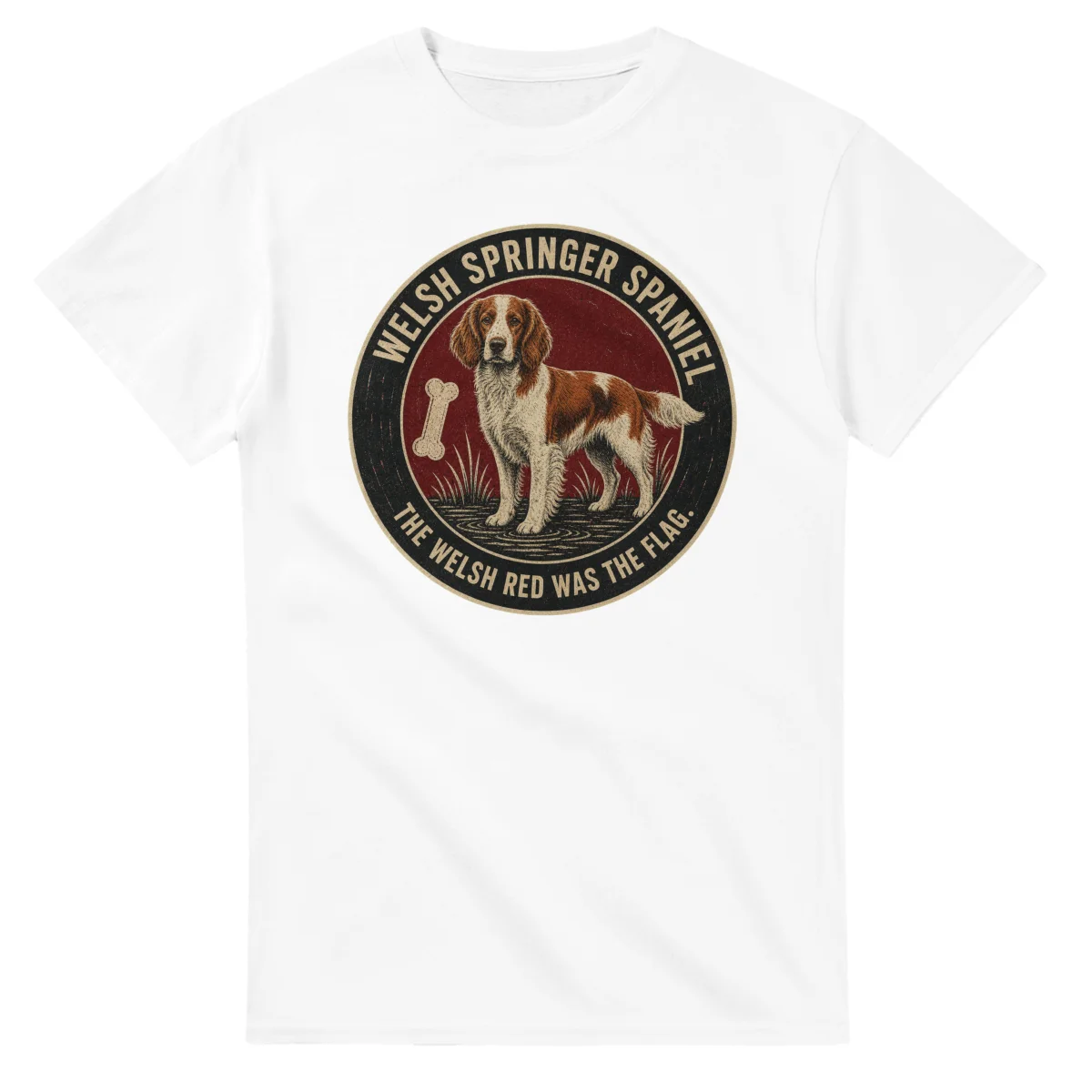 Welsh Springer Spaniel - Best in Show