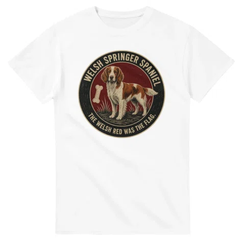 Welsh Springer Spaniel - Best in Show