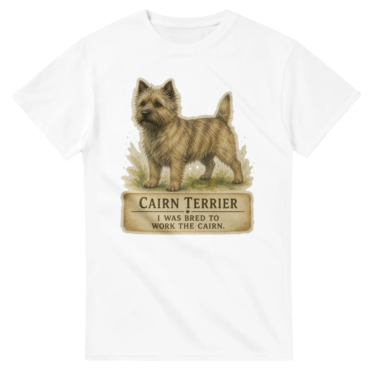 Cairn Terrier - Working Roots