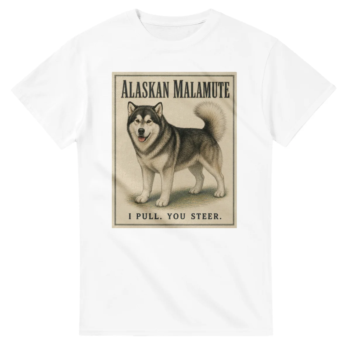 Alaskan Malamute - Well Bred