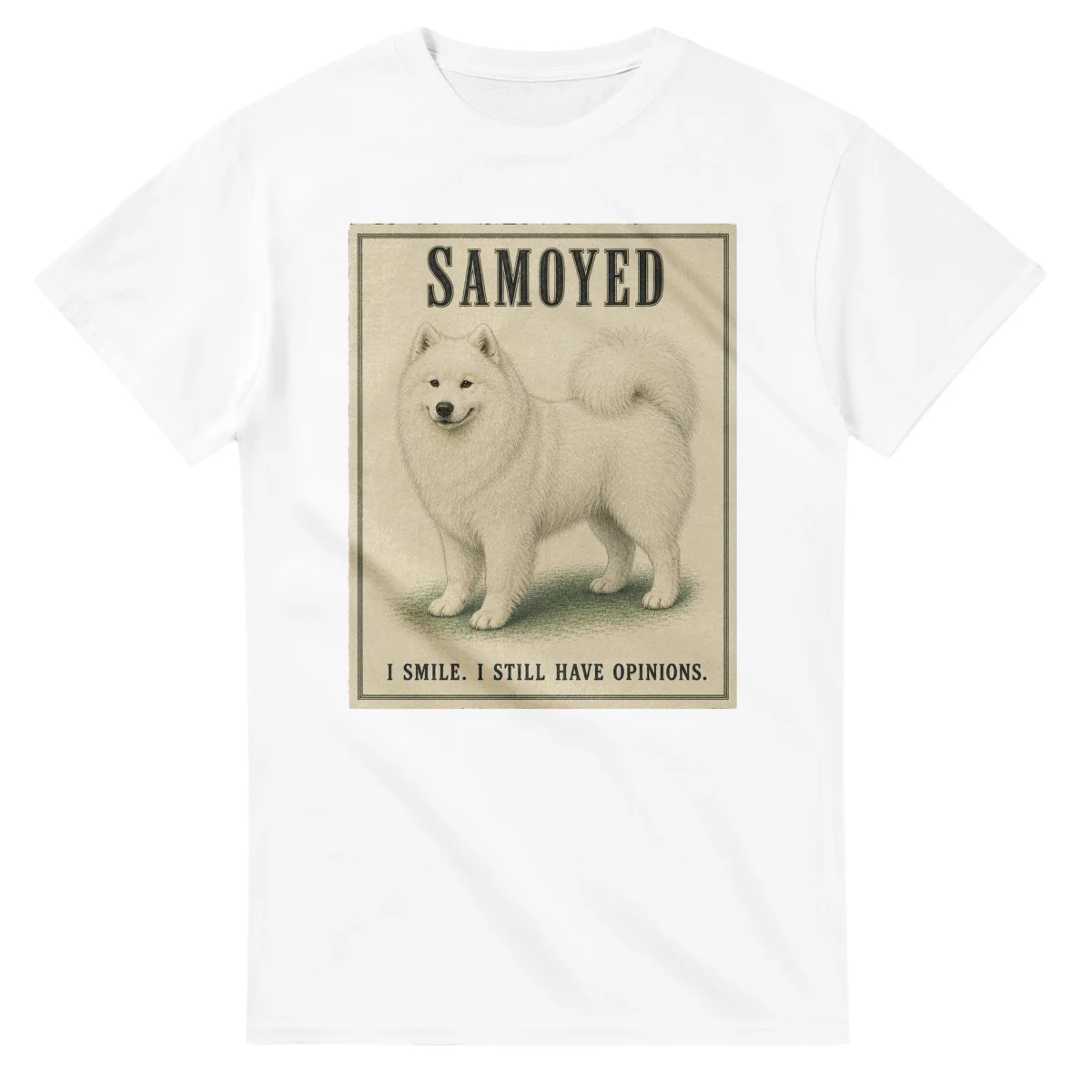 Samoyed - Well Bred
