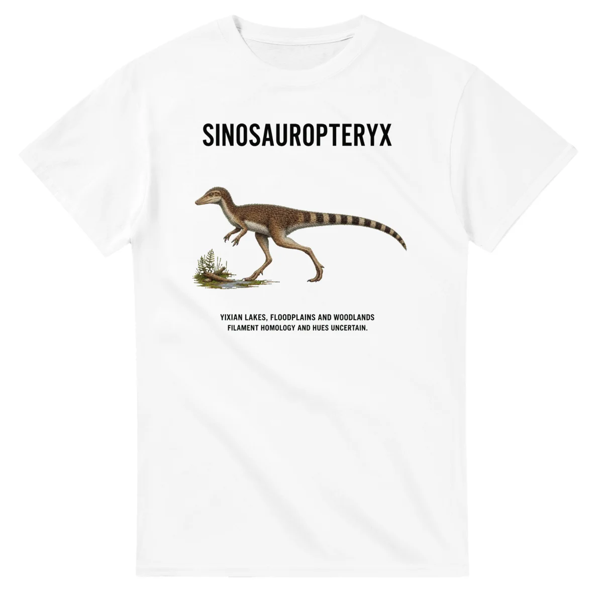 Sinosauropteryx - Artist's Impression