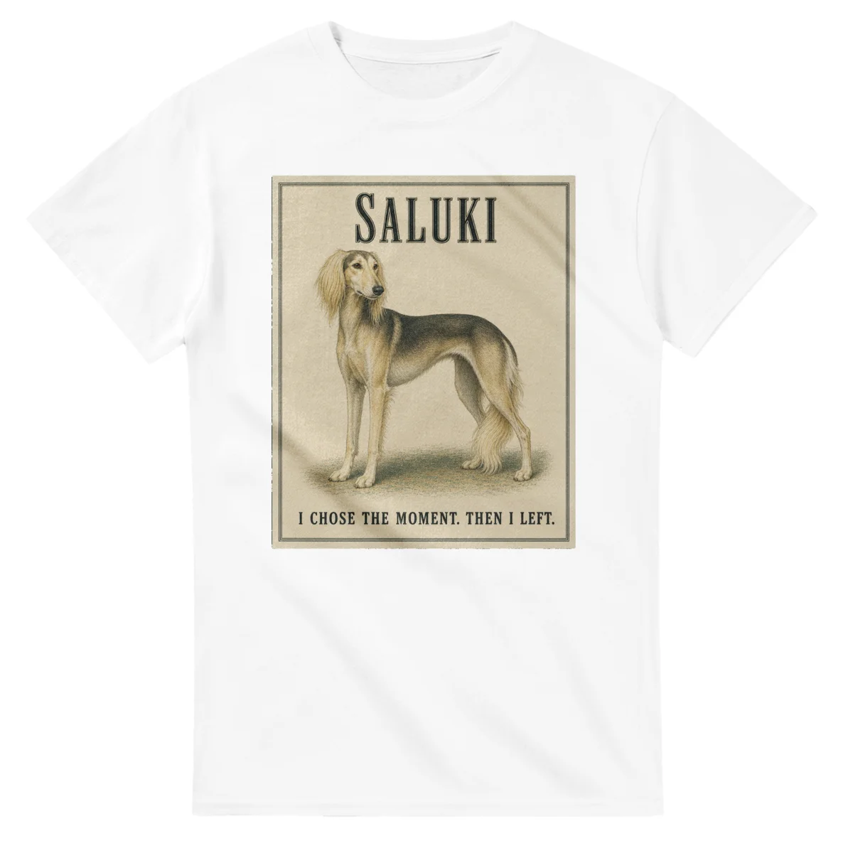 Saluki - Well Bred