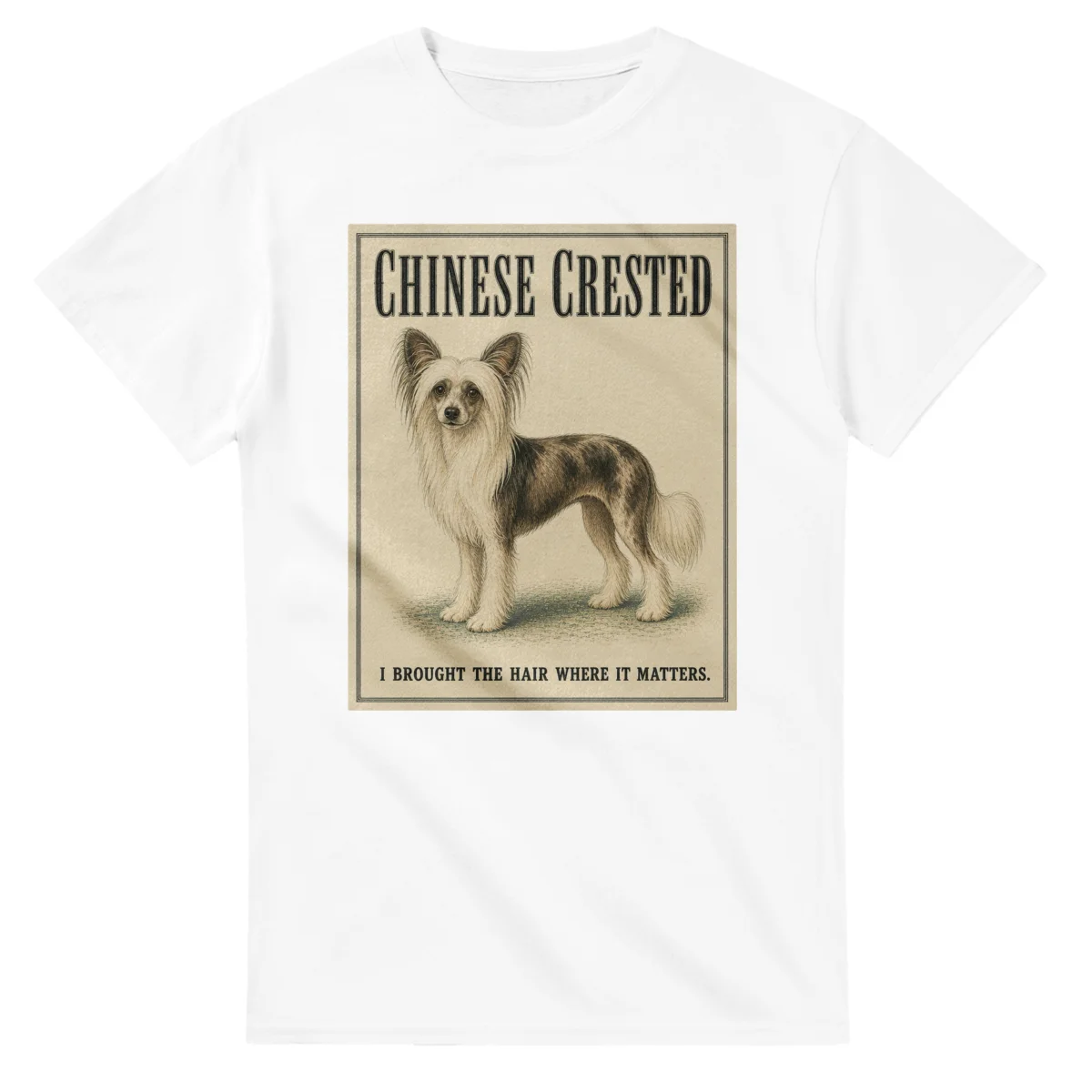 Chinese Crested - Well Bred