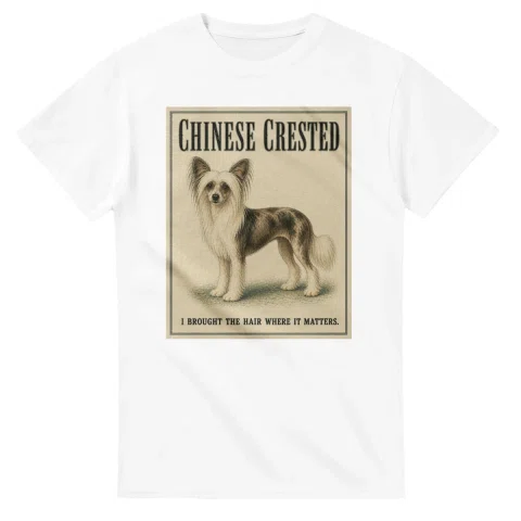 Chinese Crested - Well Bred