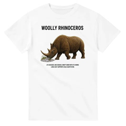 Woolly rhinoceros - Artist's Impression