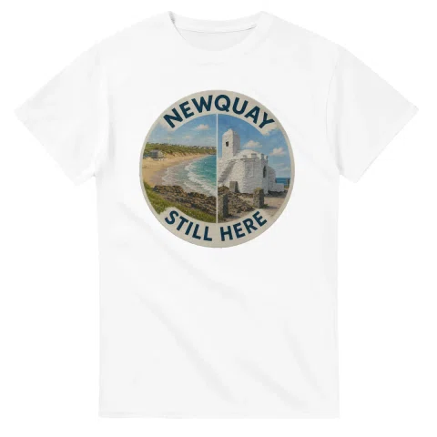 Painted, panelled scenic illustration for Newquay, with paired local scenes and the place name in lettering.