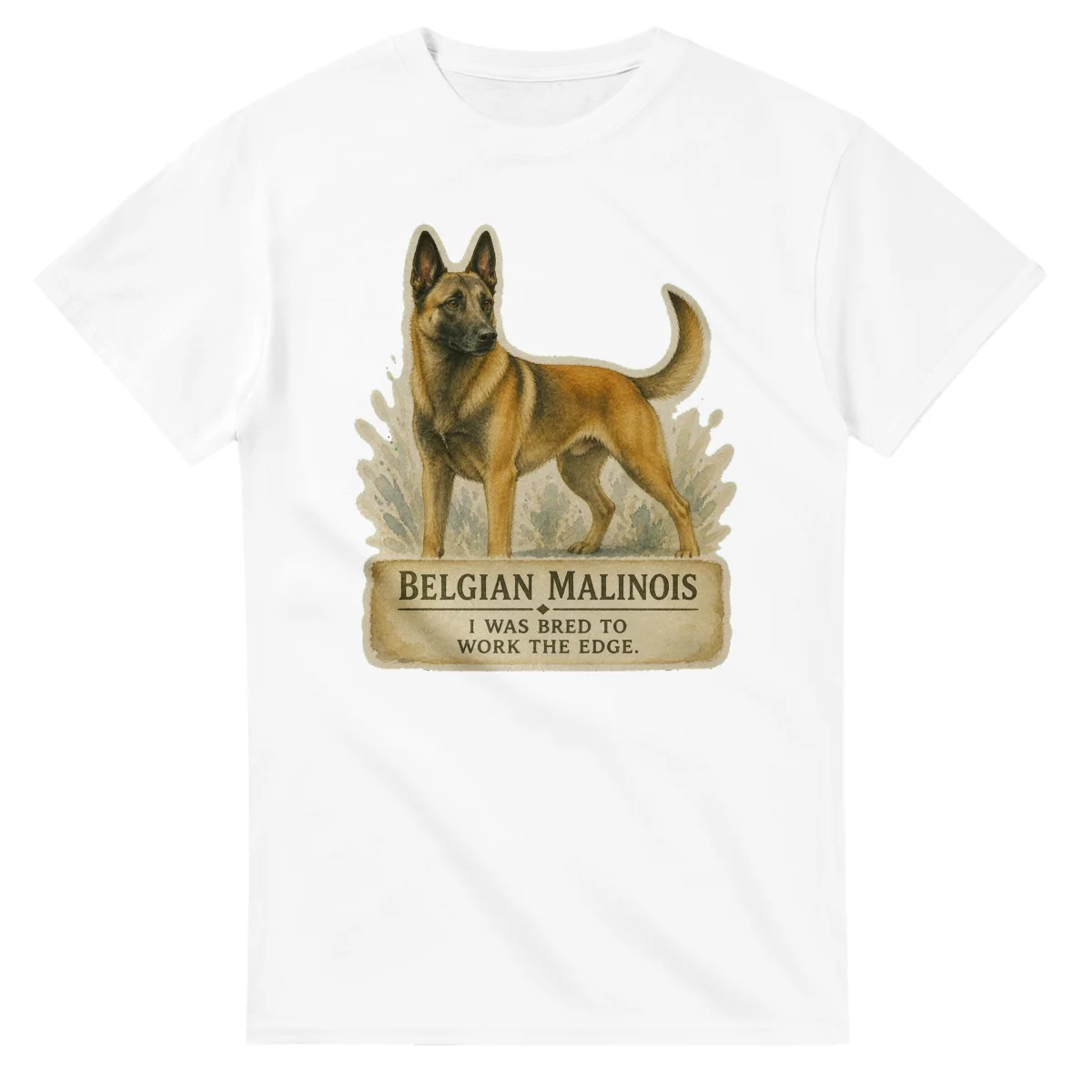 Belgian Malinois - Working Roots
