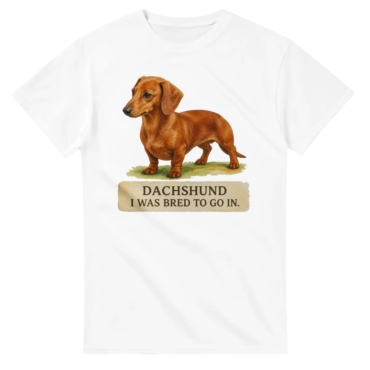 Dachshund - Working Roots