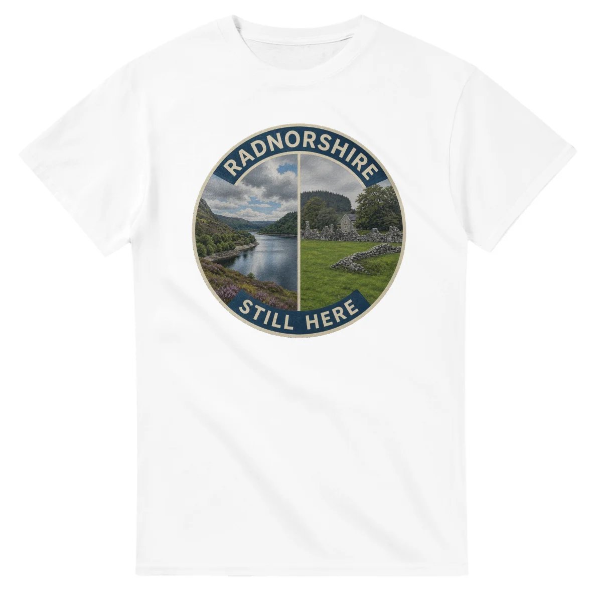 Painted, panelled scenic illustration for Radnorshire, with paired local scenes and the place name in lettering.