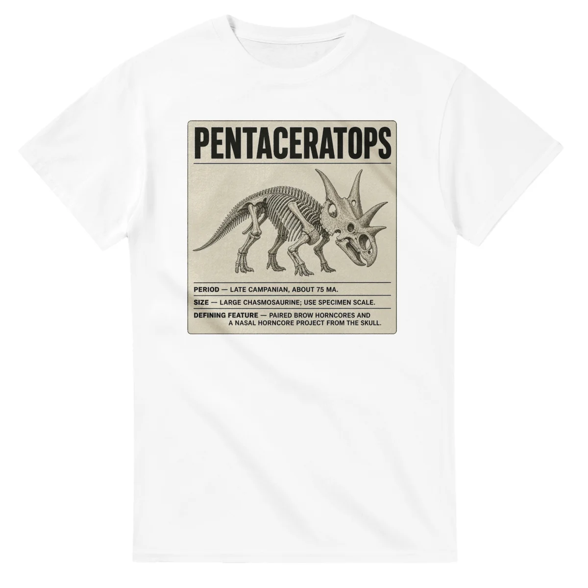 Pentaceratops - Set in Stone