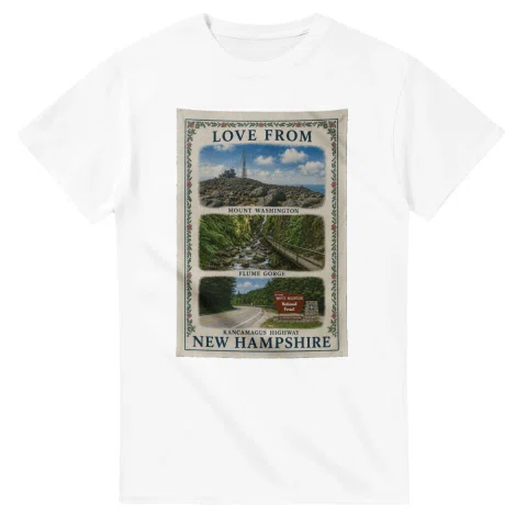 Framed scenic design for New Hampshire, with several local views, a decorative border and LOVE FROM lettering.