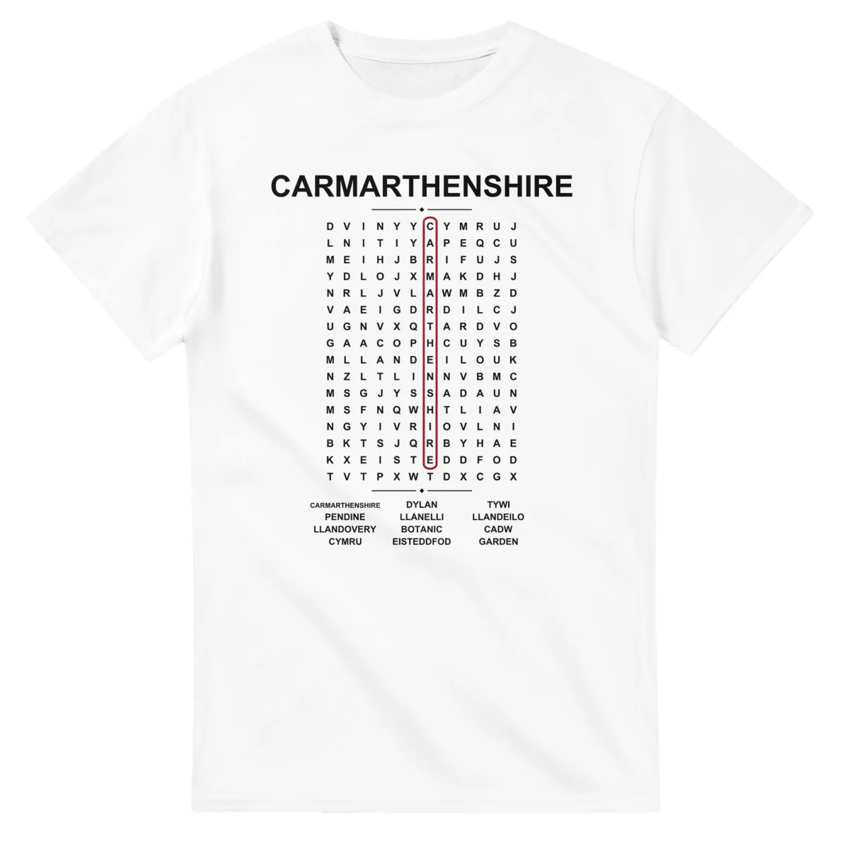 Word-search sheet for Carmarthenshire, with a large place-name heading, a letter grid, a local answer list, and a red highlighted example word.