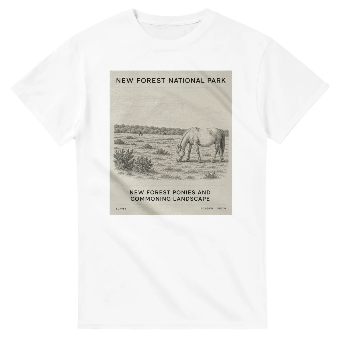 Fine-line engraving-style drawing for New Forest National Park, with a landmark caption and small coordinate text.
