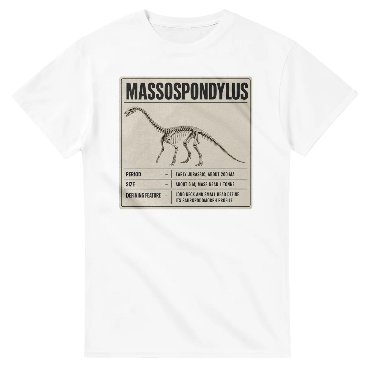 Massospondylus - Set in Stone