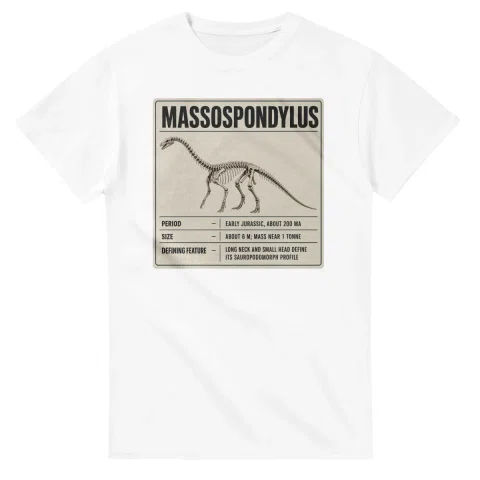 Massospondylus - Set in Stone