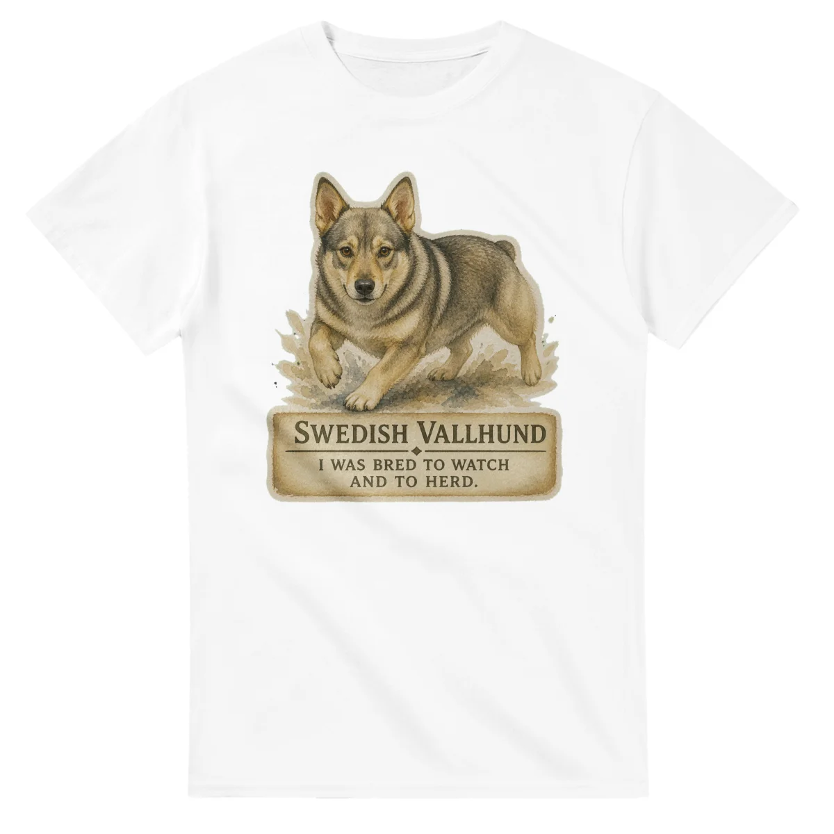 Swedish Vallhund - Working Roots