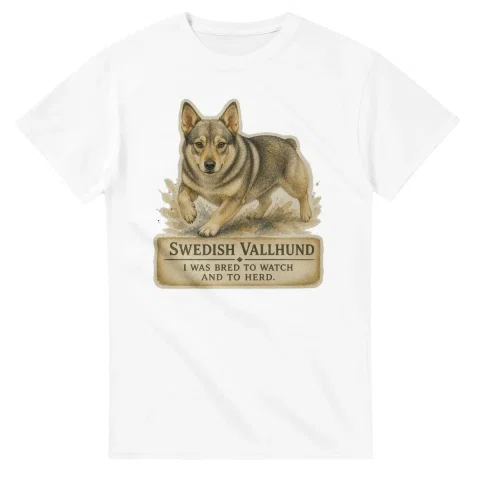Swedish Vallhund - Working Roots