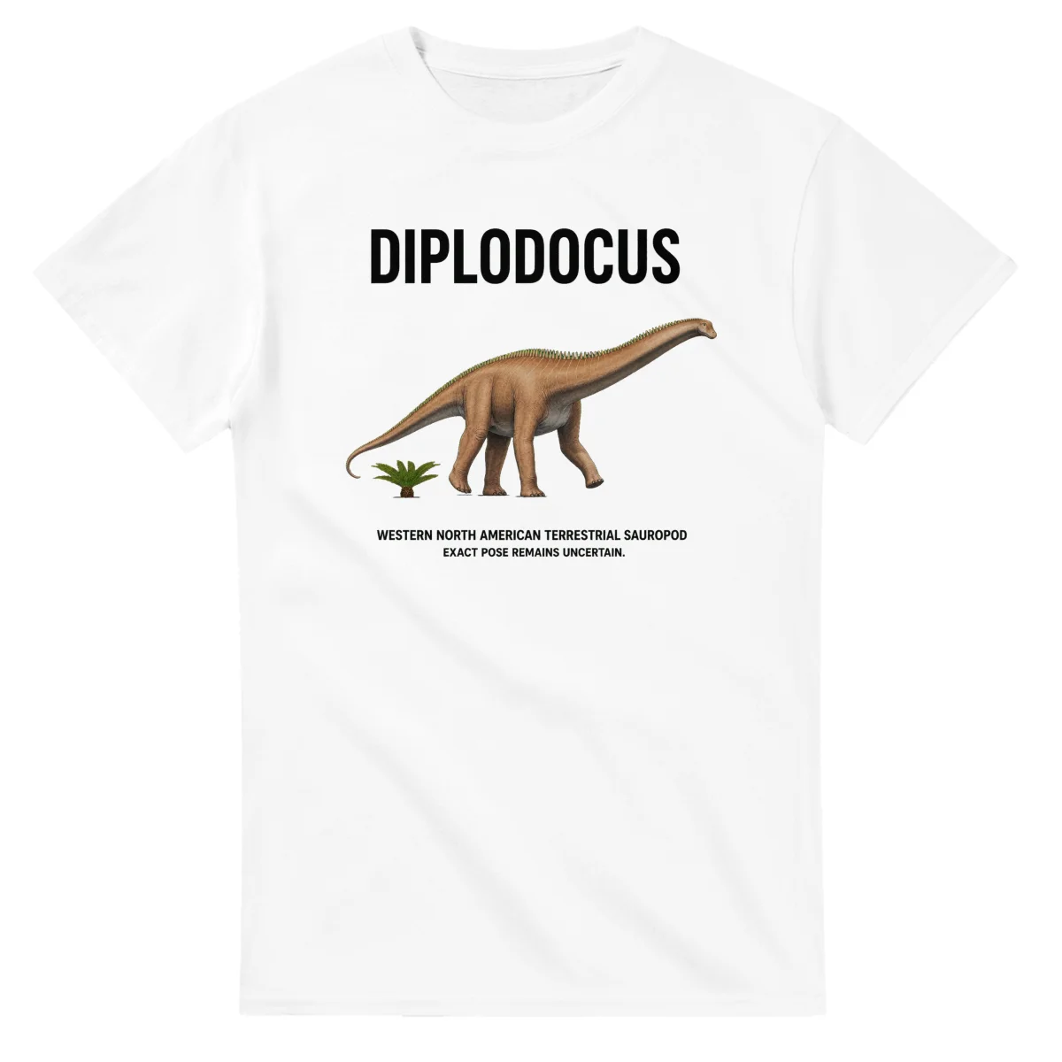 Diplodocus - Artist's Impression