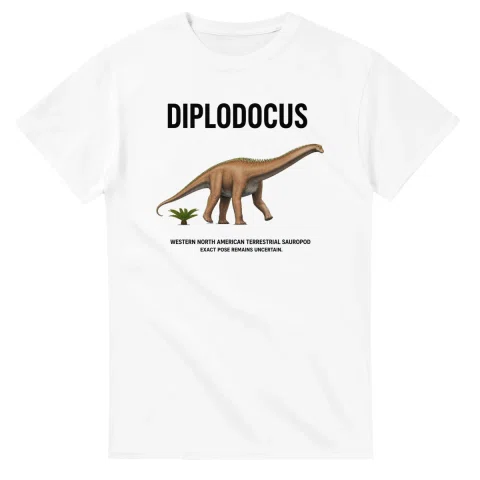 Diplodocus - Artist's Impression