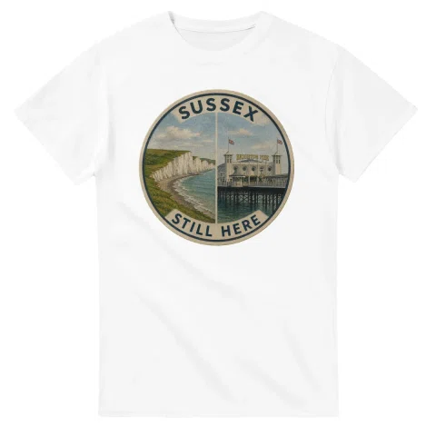 Painted, panelled scenic illustration for Sussex, with paired local scenes and the place name in lettering.