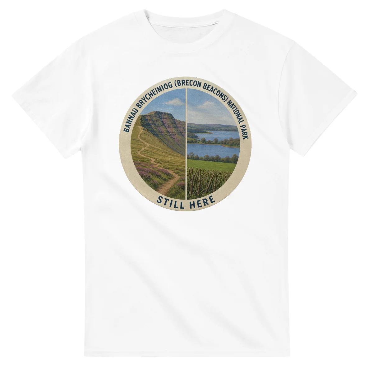 Painted, panelled scenic illustration for Bannau Brycheiniog (Brecon Beacons) National Park, with paired local scenes and the place name in lettering.