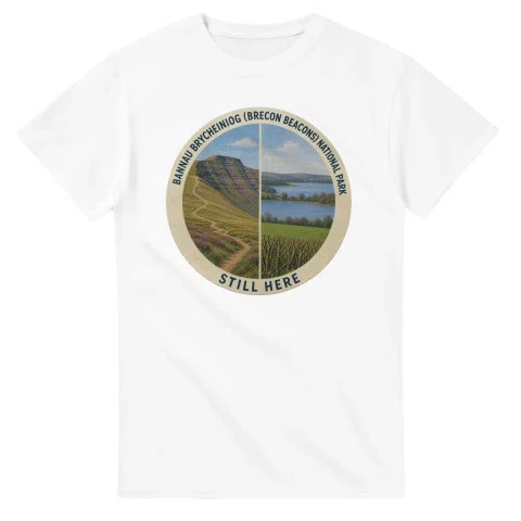 Painted, panelled scenic illustration for Bannau Brycheiniog (Brecon Beacons) National Park, with paired local scenes and the place name in lettering.