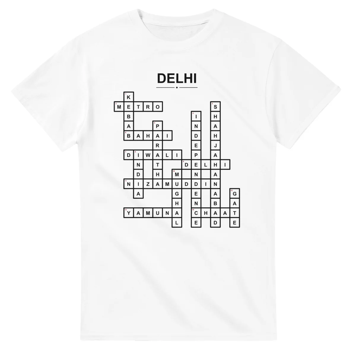 Monochrome crossword sheet for Delhi, with a large place-name heading, a letter grid, and numbered across and down clues.