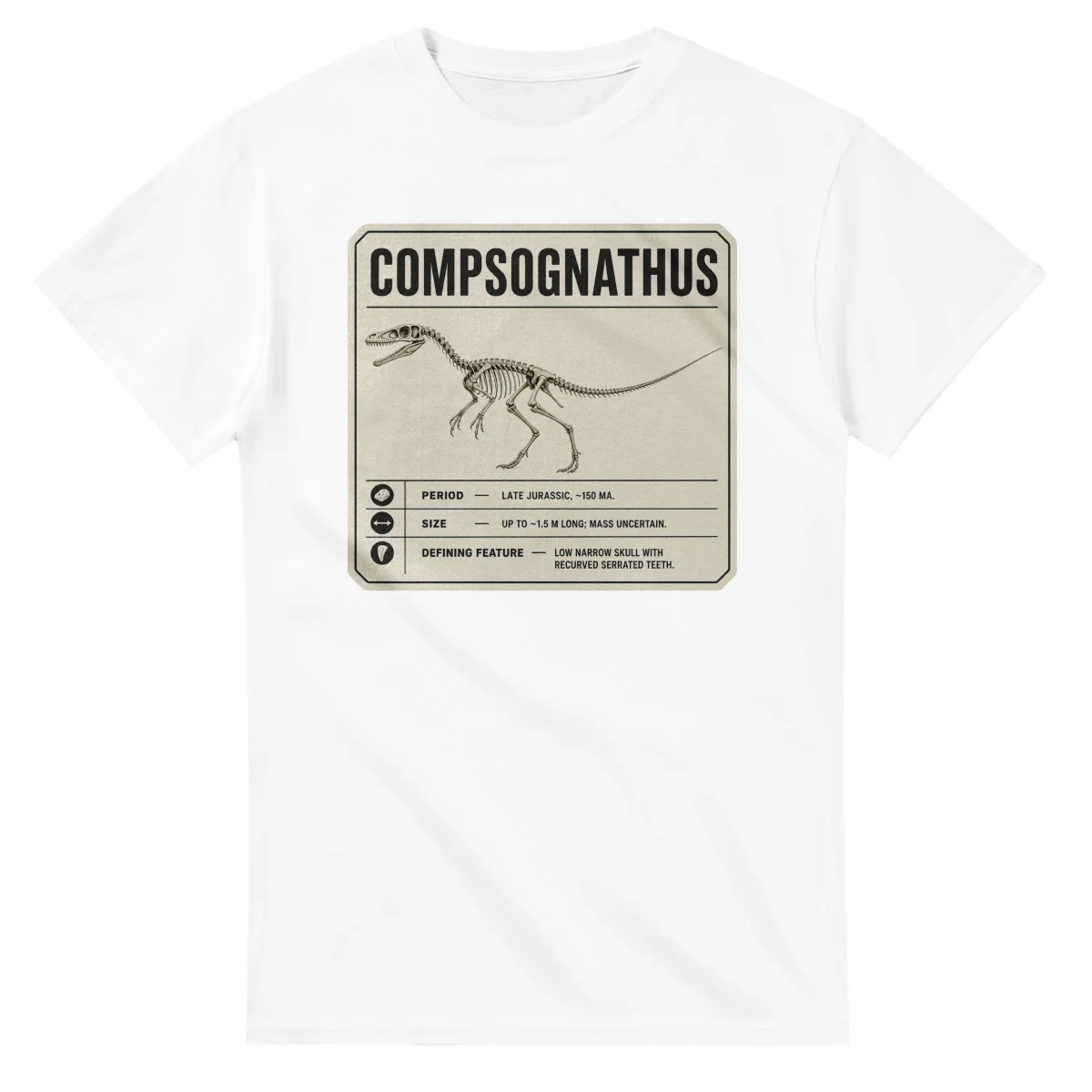 Compsognathus - Set in Stone