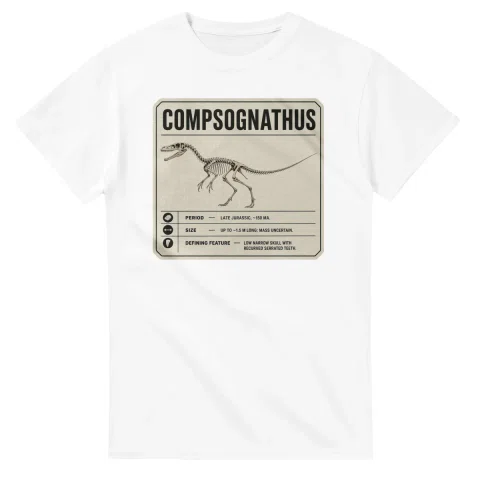 Compsognathus - Set in Stone