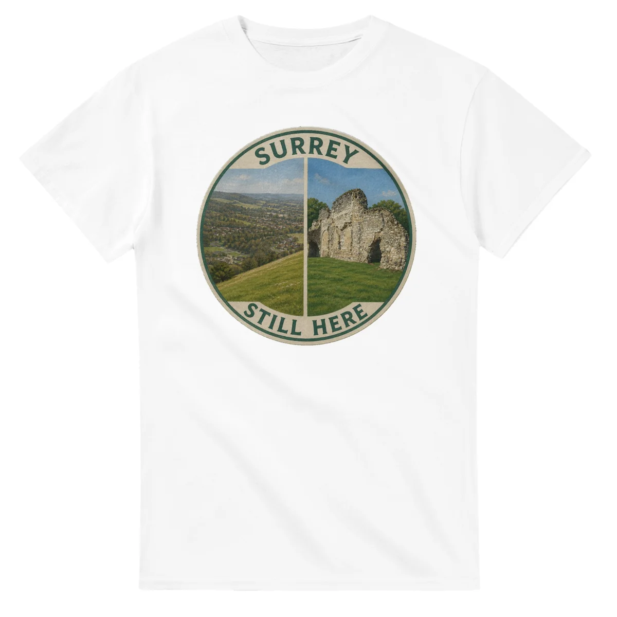 Painted, panelled scenic illustration for Surrey, with paired local scenes and the place name in lettering.