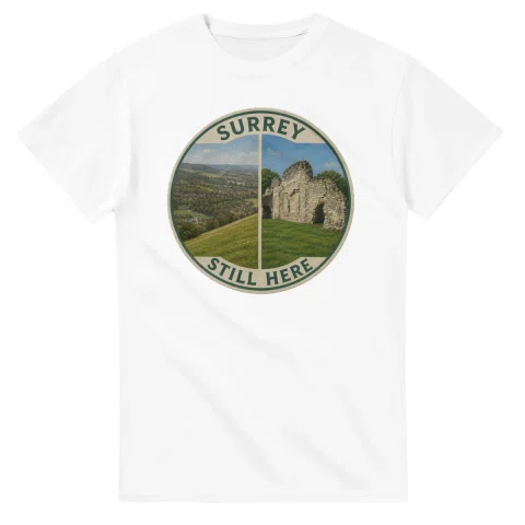 Painted, panelled scenic illustration for Surrey, with paired local scenes and the place name in lettering.