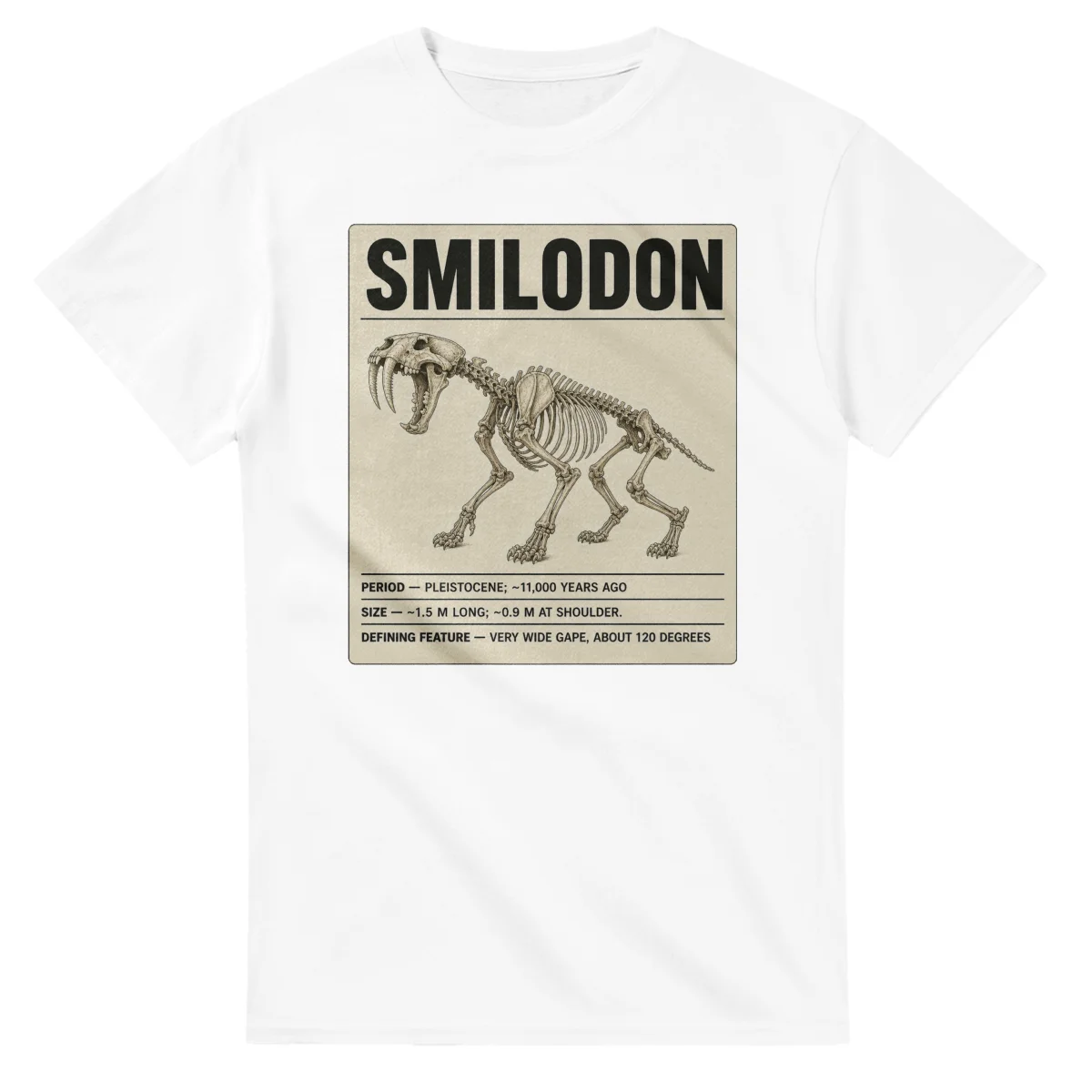 Smilodon - Set in Stone