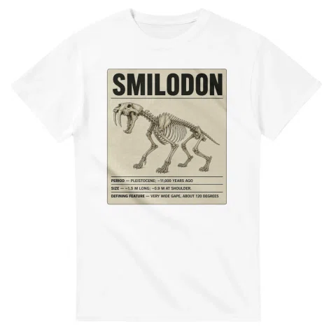 Smilodon - Set in Stone
