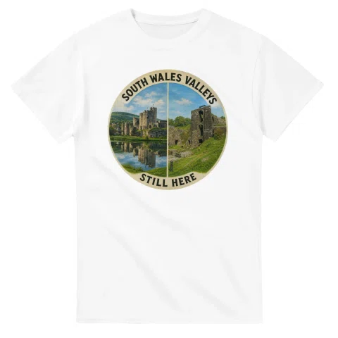 Painted, panelled scenic illustration for South Wales Valleys, with paired local scenes and the place name in lettering.