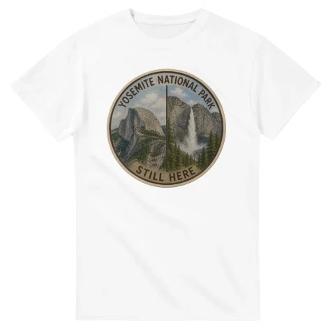 Painted, panelled scenic illustration for Yosemite National Park, with paired local scenes and the place name in lettering.