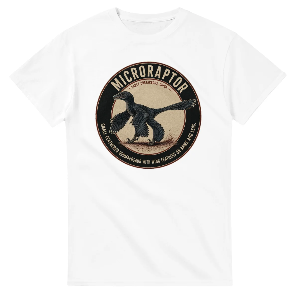 Microraptor - Alive and Well