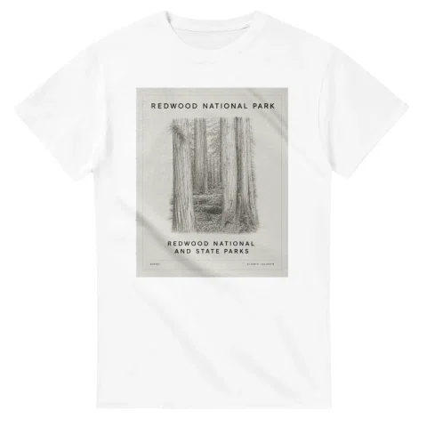 Fine-line engraving-style drawing for Redwood National Park, with a landmark caption and small coordinate text.