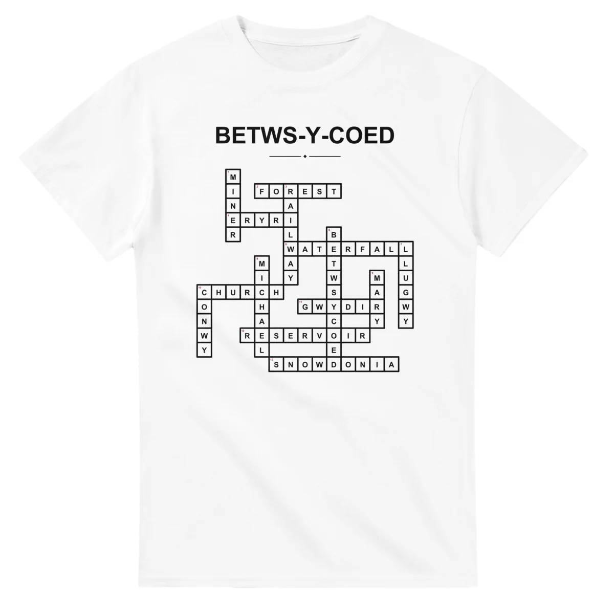 Monochrome crossword sheet for Betws-y-Coed, with a large place-name heading, a letter grid, and numbered across and down clues.