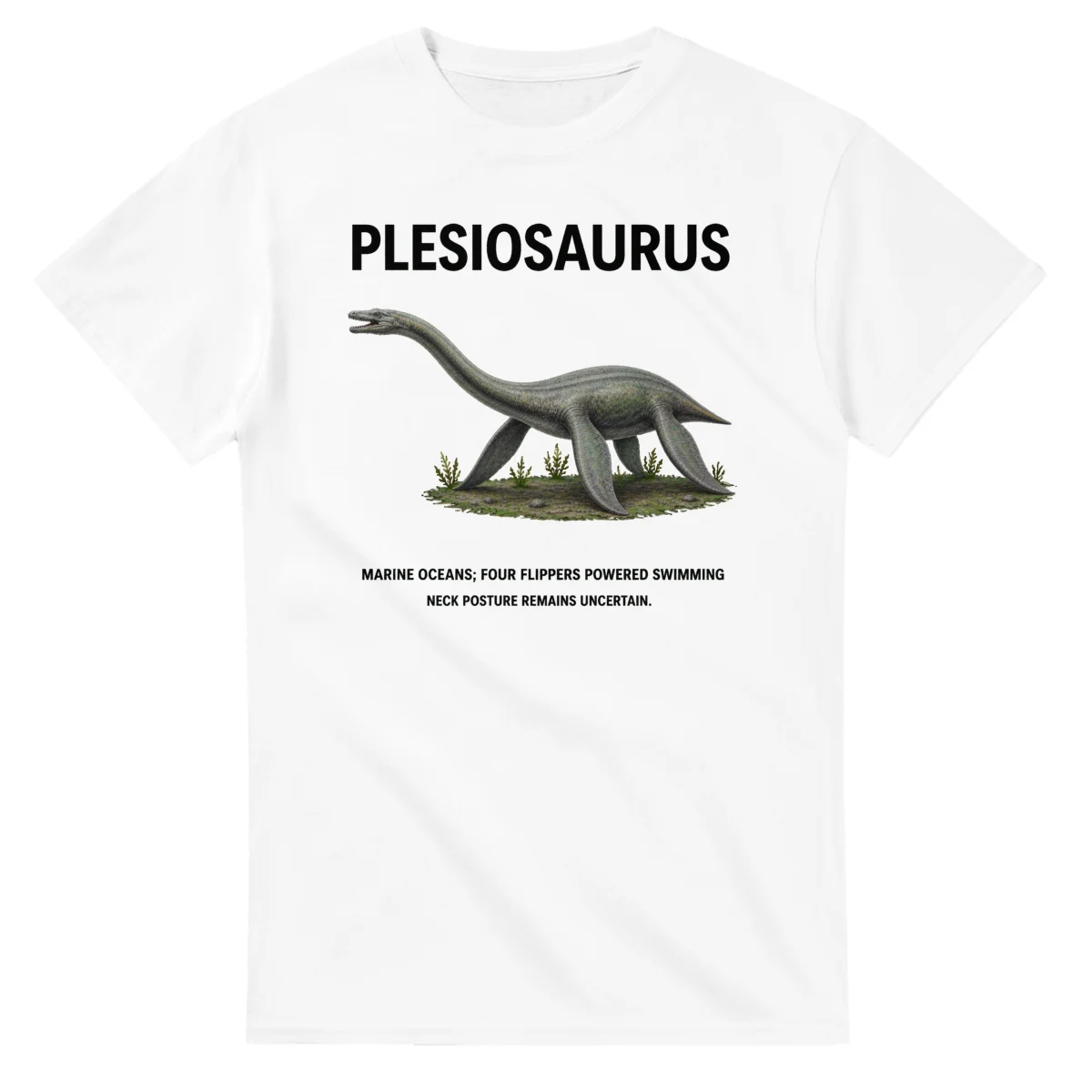Plesiosaurus - Artist's Impression