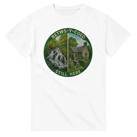 Painted, panelled scenic illustration for Betws-y-Coed, with paired local scenes and the place name in lettering.
